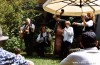 Fiddle Folk Family im Garten