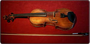 Fiddle / Geige